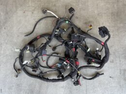 5101A701B - Main Wiring Harness