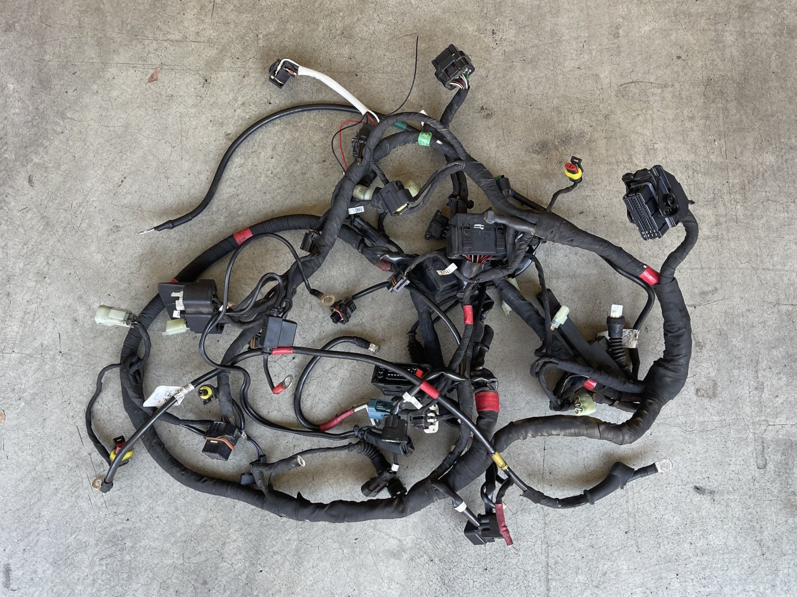 5101A701B - Main Wiring Harness